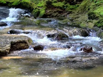 A Beautiful Awakening | Morning Music