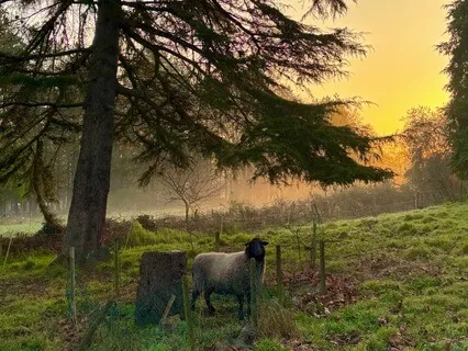 A Beautiful Morning - Music to Start Your Day