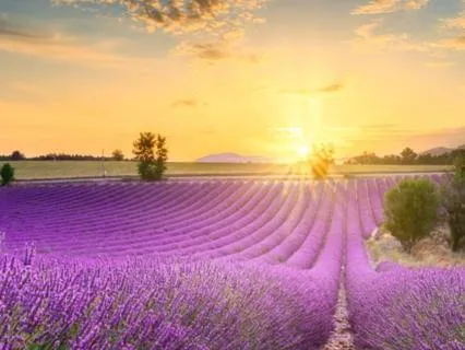 A Beautiful Morning
