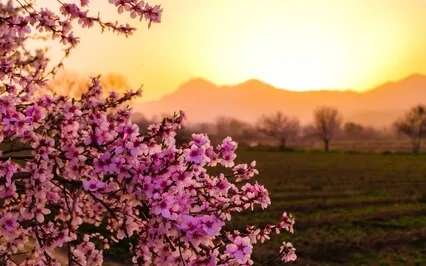 A Beautiful Way To Transform Painful Moments