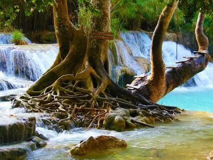 A Bedtime Journey To A Dreamland Oasis