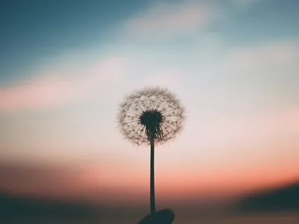 A Befriending Meditation