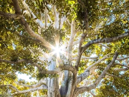 A Better Future For Humanity? In Conversation With Randi Green