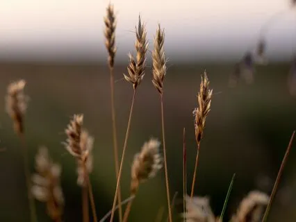 A Blessed Morning Prayer To Start Your Day