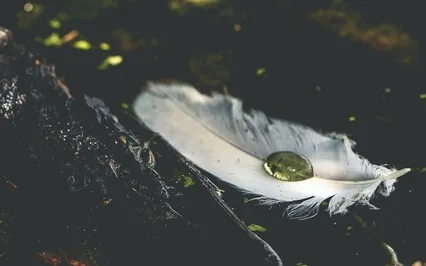 A Daily Blessing For Empaths And Sensitive Souls