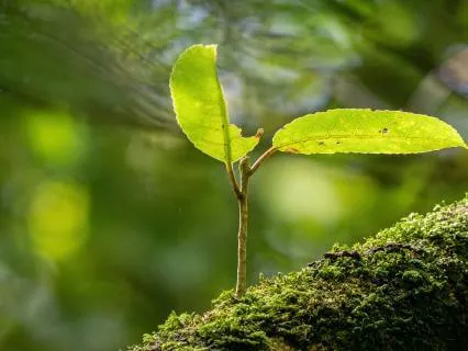 A Blessing For New Beginnings | Trust The Next Step