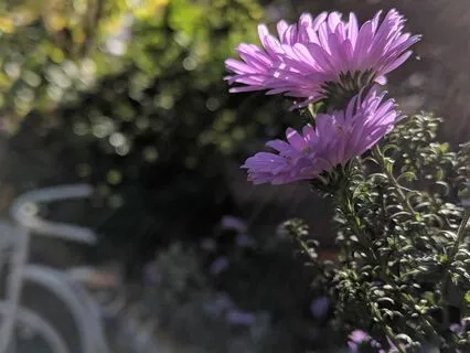 A Blessing To Remember The True Self