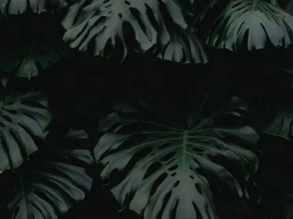 A Body Scan For Reconnecting With Oneself