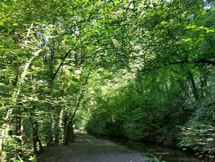 A Body Scan For Relaxation