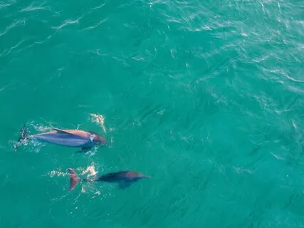 Full Body Scan For Relaxation & Heightened Awareness