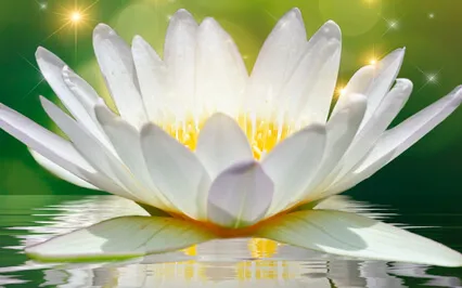 A Boost Of Love & Support From Your Future Self