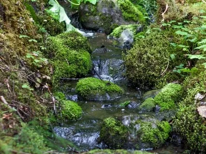 A Break From Anxiety & Stress (Extended)