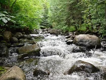 A Break From Anxiety And Stress (With Drumming Extended)