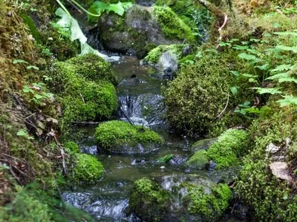 A Break From Anxiety And Stress (With Drumming)