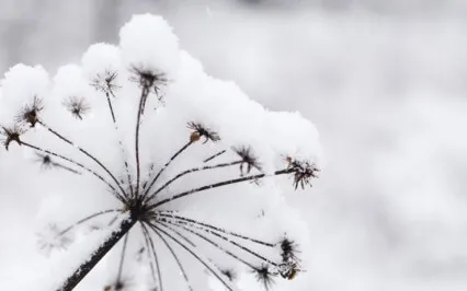 A Breath Meditation In Openness & Expansion