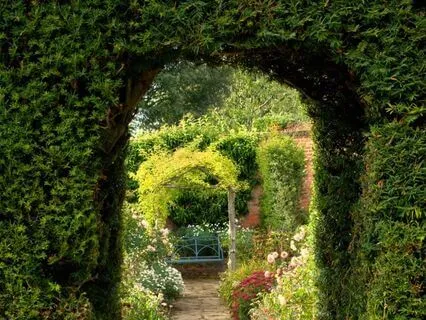 A Breath Of Creativity