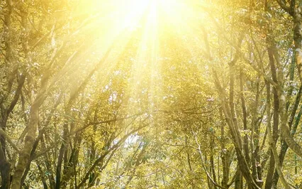 A Breath Of Fresh Air Guided Meditation