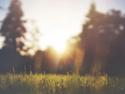 A Breath of Summer's Calm