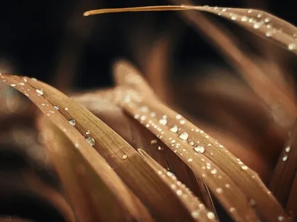 A Breath Session To Bring Focus & Clarity