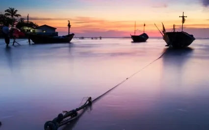 A Breathing Anchor For Your Wandering Mind