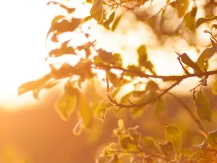 A Breathing Series: Find Calm & Balance Through Breath