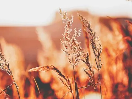 A Breathing Series: Release Breath Holding & Tension