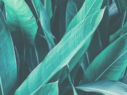 A Breathing Series: Calm Over-Breathing & Restore Balance