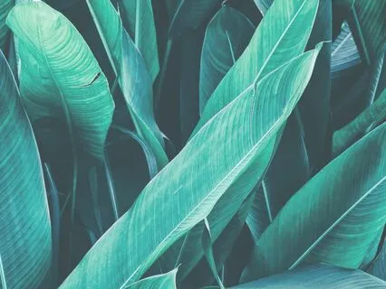 A Breathing Series: Fix Reverse Breathing & Breathe Freely