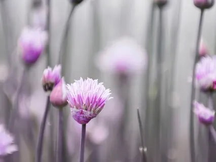 A Breathing Series: Ease Anxiety With Your Breath