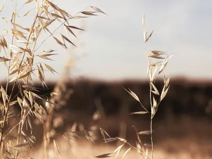 A Breathing Series: Strengthen Your Diaphragm