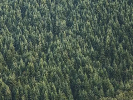 A Brief & Complete Guide to Meditation