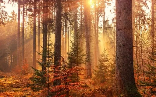 A Brief Guide To Saying Goodbye