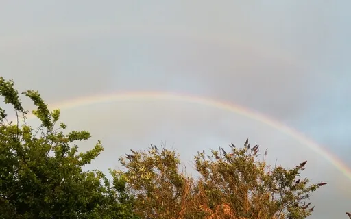 A Brief Meditation To Release And Receive