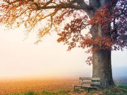 A Brief Pause During Your Day