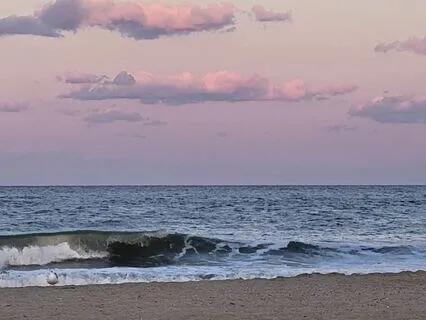 A Brief Pause To Return To Calm