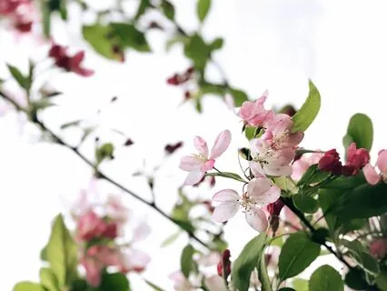 A Brief Practice To Witness Fear