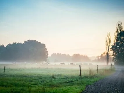 A Brighter Tomorrow: Morning Serenity