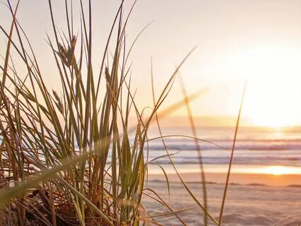 Becoming A Business Of Nature