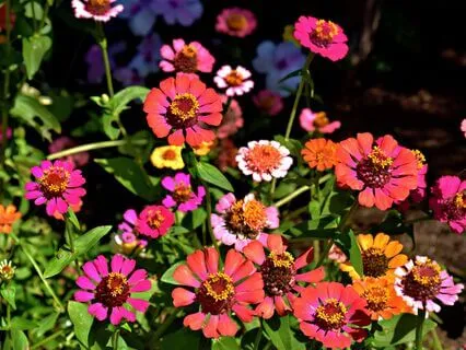 A Call To Action In Times Of Transformation