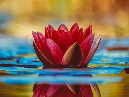 Letting In The Light 