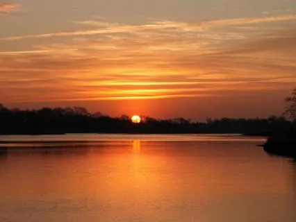 A Calm Morning Sensation