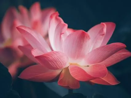 A Calm Nervous System | Energy Healing/Reiki | 5-Minute Mini