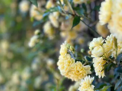 A Calming Guided Meditation For Stress And Anxiety Relief