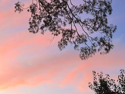 A Calming Space To Unwind