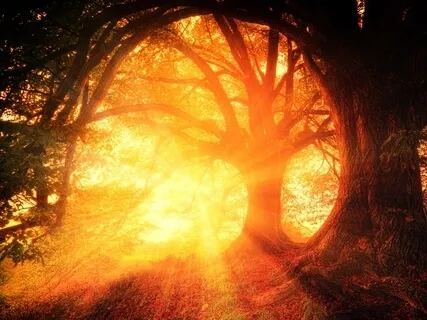 A Canopy Of Peace - Affirmative Prayer