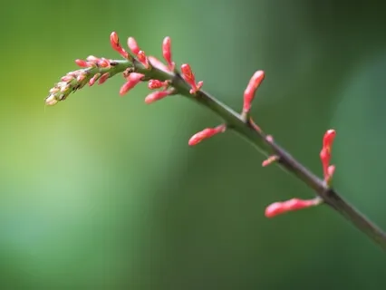 A Centered Day - Morning Mindfulness
