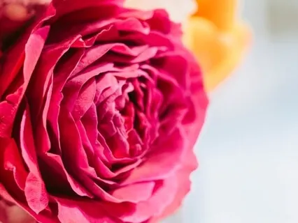 A Chakra Opening Meditation