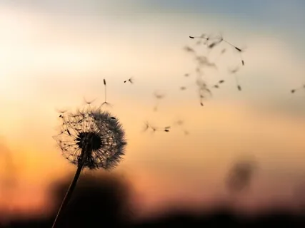 A Christian Guided Visualisation Prayer For Healing 1