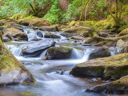 A Christian Meditation Walk For Peace And Reflection