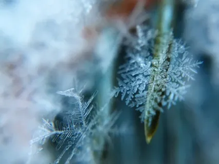 A Christmas Blessing